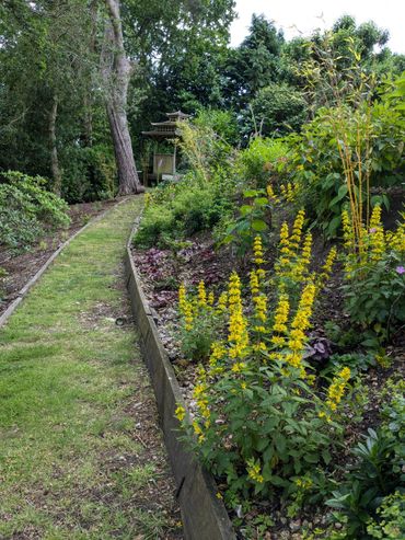 A garden path leads to a wooden gazebo surrounded by lush greenery and yellow flowers.