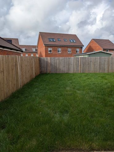 A green backyard enclosed by wooden fences with brick houses in the background.