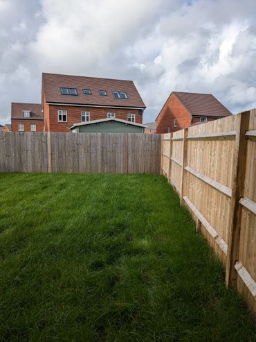 Green backyard with wooden fences and brick houses in the background.