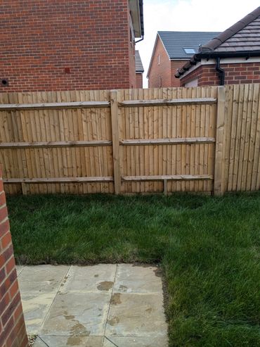 A small backyard with green grass and a wooden fence.