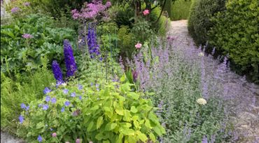 A vibrant garden path lined with blooming purple, blue, and pink flowers.