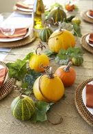 Rustic Thanksgiving table setting centerpiece, gourds ce 