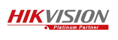 Security and Sound Systems, Inc.