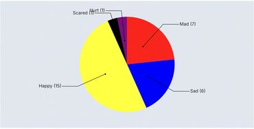 What percent is this student in each feeling group