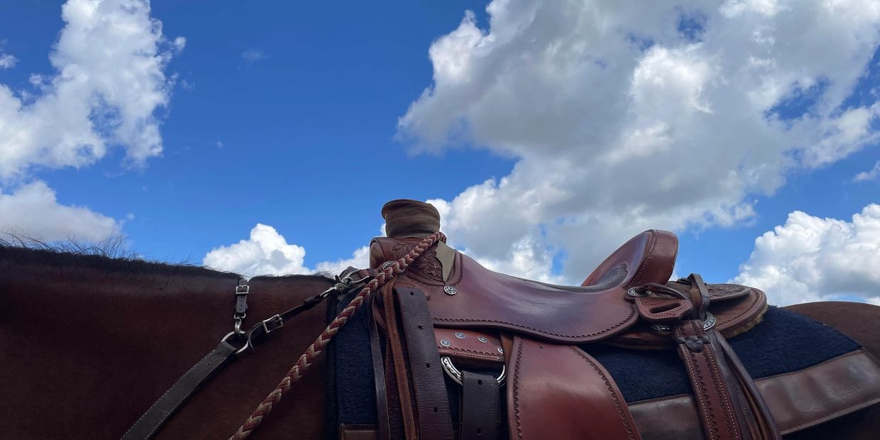 Close-up of a leather saddle on a horse under a bright blue sky with clouds.