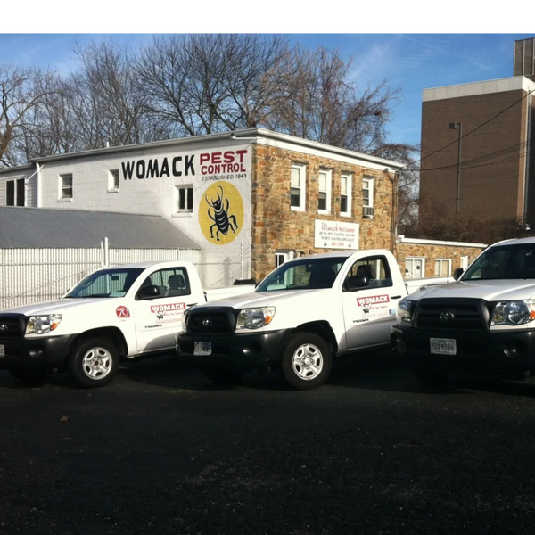 Maryland Pest Control Servcies
