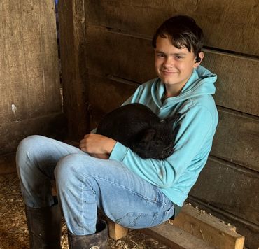 Kunekune piglets are hand held to train them to appreciate us as we do them. kunekune pigs and pigle