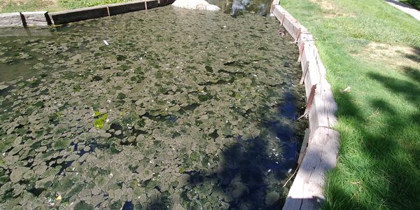 Big Cottonwood Creek