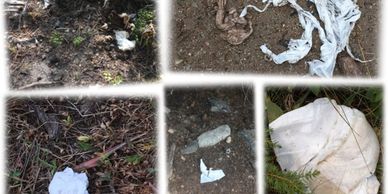 Wasatch Canyon toilets