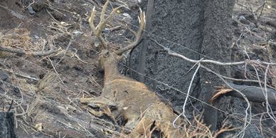 Over protecting Big Cottonwood Canyon, Utah