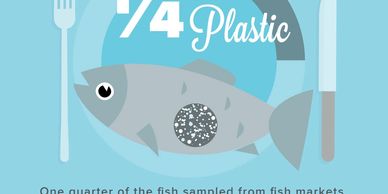 microplastic in Utah fish