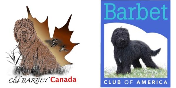 The logos of Club Barbet Canada and the Barbet Club of America