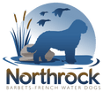 Northrock Barbets