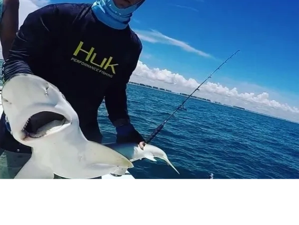expert team member holding shark on a shark charter