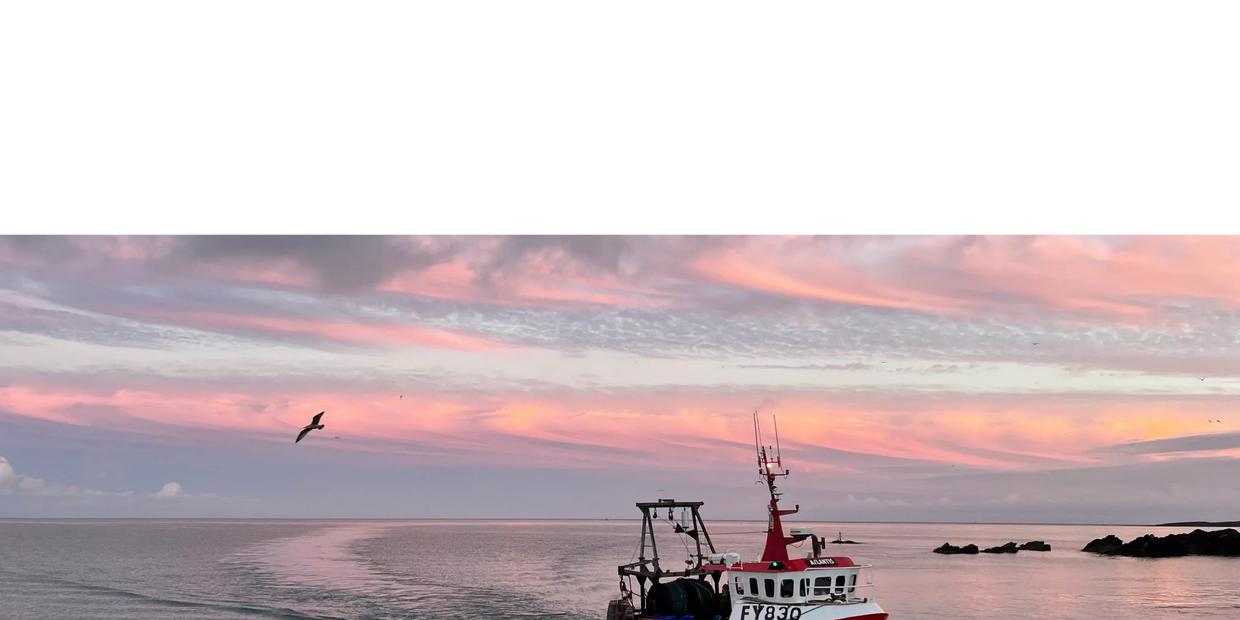 Fishing trawler returning to Looe harbour at sunset