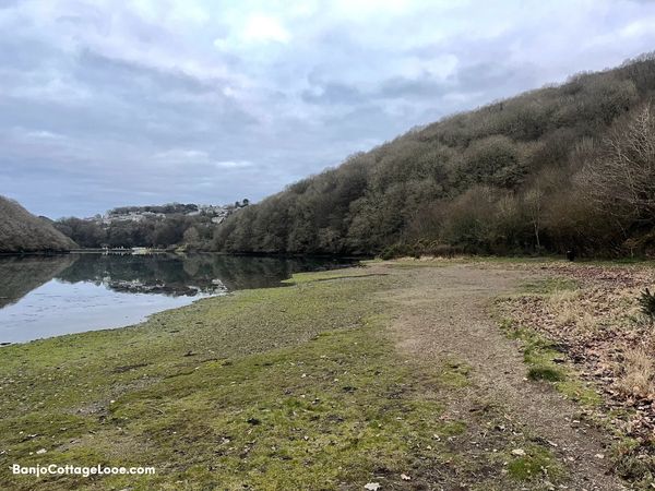 Kilminorth Woods beach and Looe River