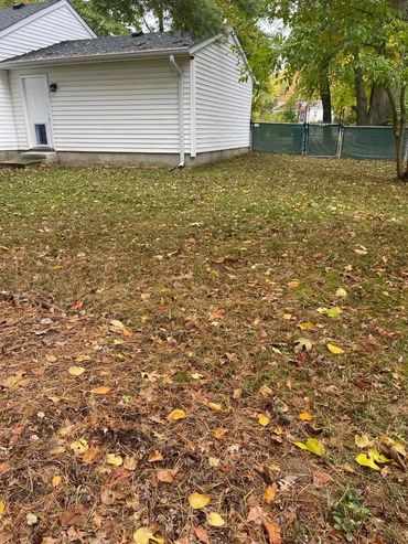 Large fenced in backyard