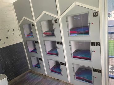 Kloud 9 Dogz Kennel Alternatives, Sligo, Co. Sligo, Ireland