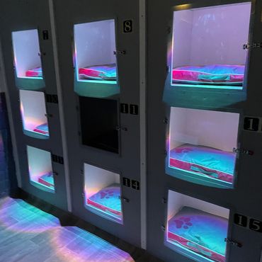 Kloud 9 Dogz Kennel Alternatives, Sligo, Co. Sligo, Ireland