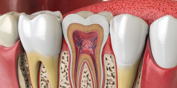 GENERAL DENTAL CARE