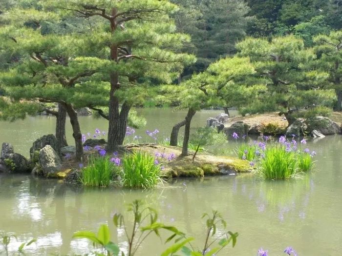 Jikidenreikiwa.com Kinkakuji (金閣寺, Golden Pavilion Pond) 2009 by Chieko.jpg