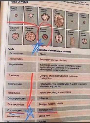 Coronavirus, disease, spread, death, flu, infection, pandemic, hoax, propaganda, new world order.