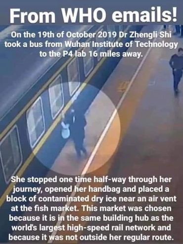 Corona, Coronavirus, hoax, Covid-19, China, false flag, common enemy, new world order, disease, CDC.