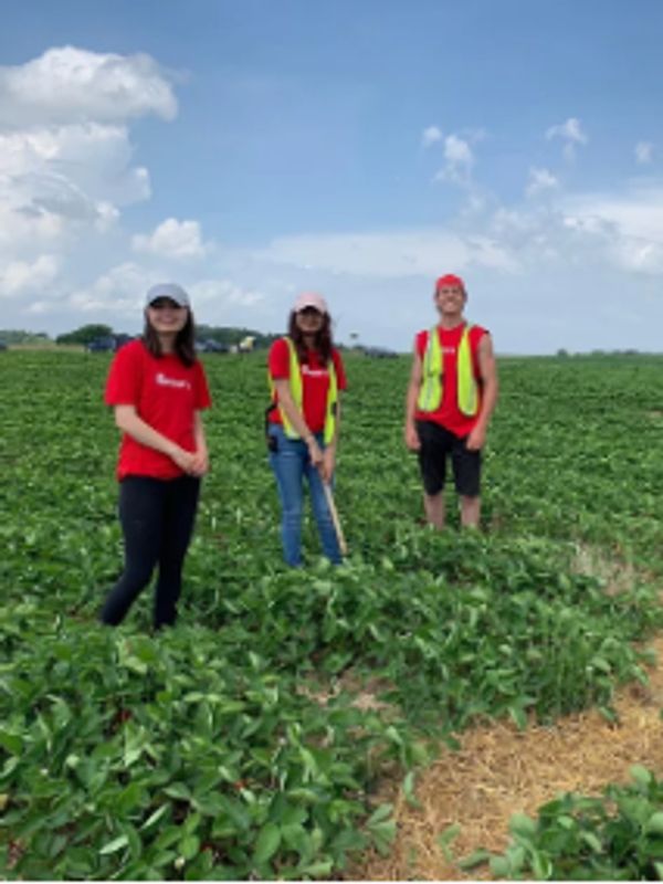 Three people in red shirts and safety vests standing in a green field under a blue sky.