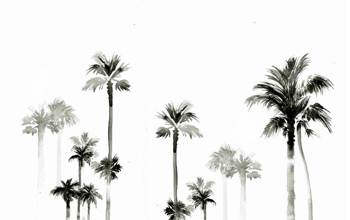 Shadow Palms