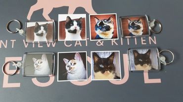 fridge magnet and keyring image