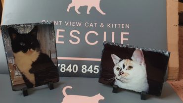 slate of lola and zelda