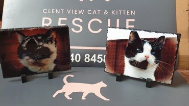 slate photo of cracker and fizz