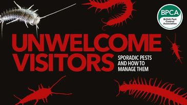 Unwelcome visitors: managing sporadic pests with British Pest Control Association.
