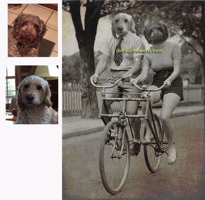 custom dog art riding a bike