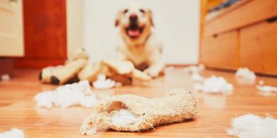 Too blurry and far away.