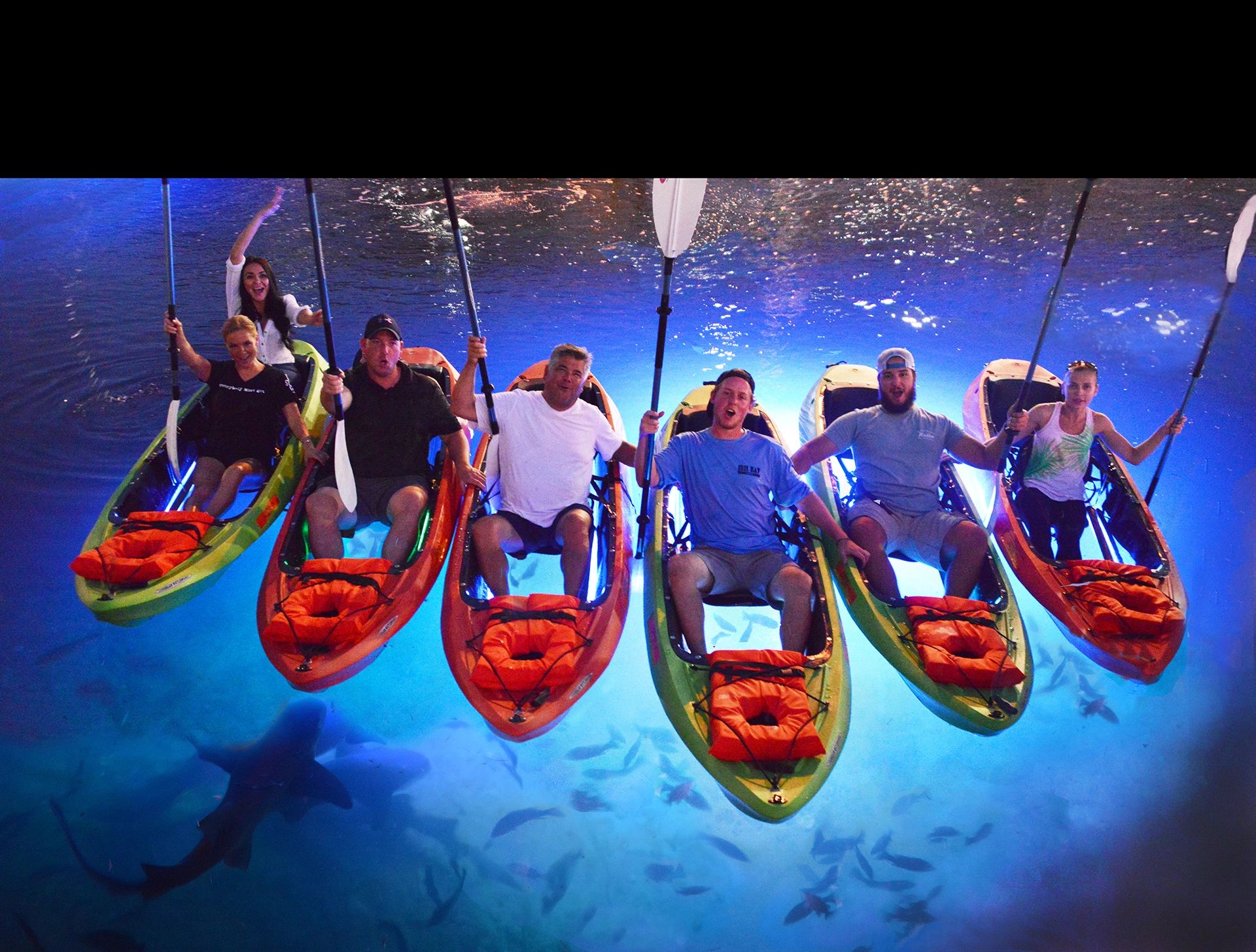 Ibis Bay Paddle Sports Key West's Original LED Night Kayak Tours