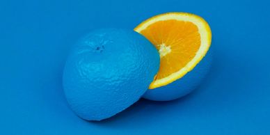 Blue orange showing that diversity includes some characteristics that are not externally observable