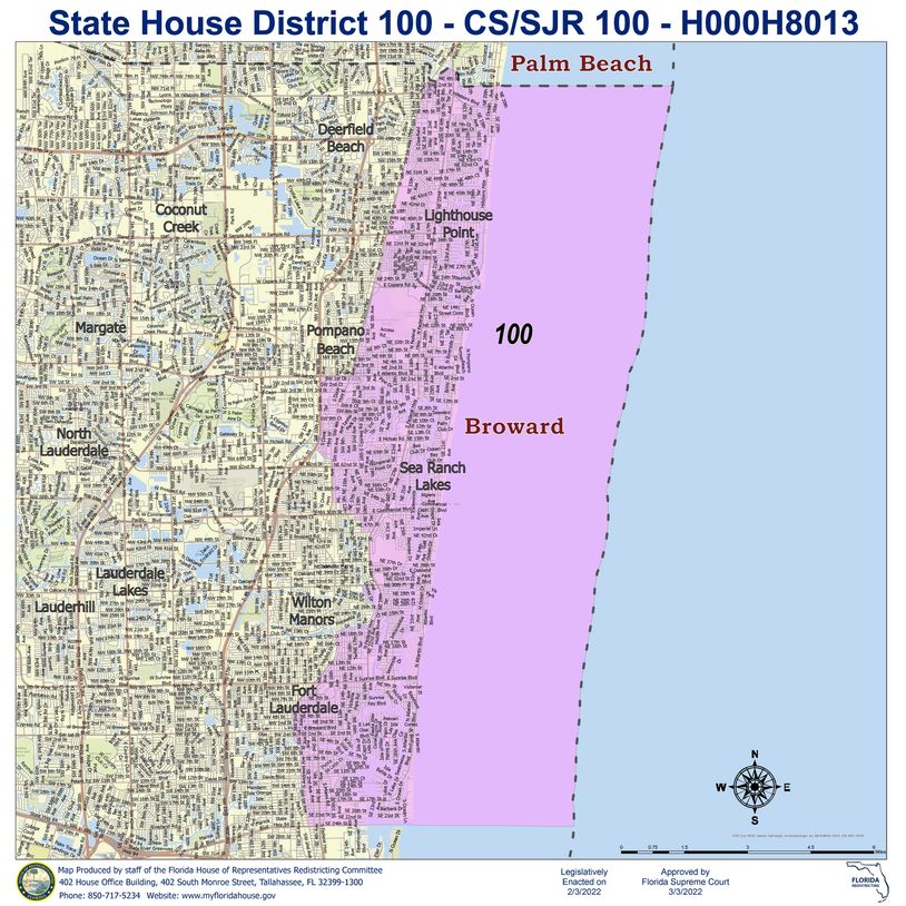 Florida State House District 100 Map
