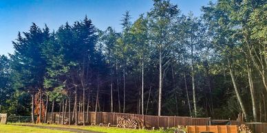 Tree Service Everett WA