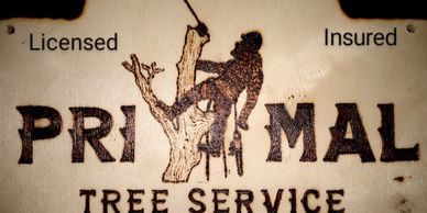 Tree Service Everett WA