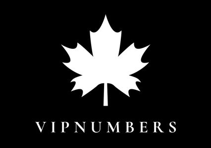 COPYRIGHT © 2019 4I6 - ALL RIGHTS RESERVED.