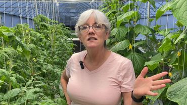 A woman explains something inside a greenhouse full of green plants.