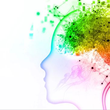 An image of a human head, representing positive psychology
