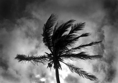 Weathering the Storm, Sofar Tour, St. George's, Bermuda