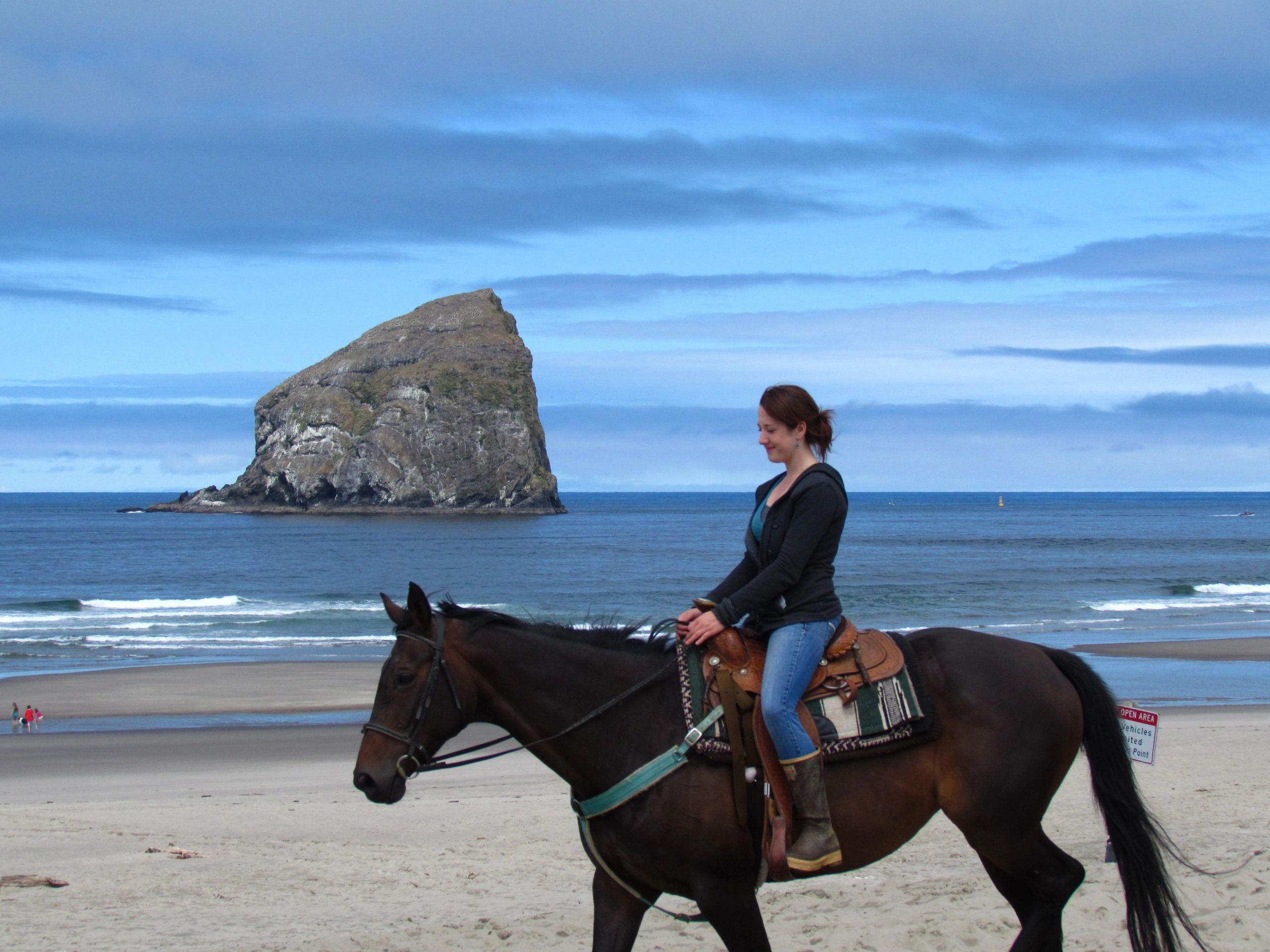 Discover Green Acres Beach & Trail Rides: A Perfect Family Adventure