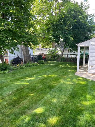 Lawn Care Dearborn
