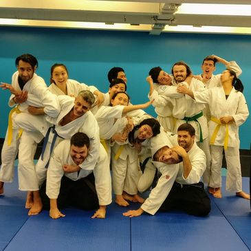 Fun group photo of Japanese Jiu-Jitsu practitioners after a martial art seminar.