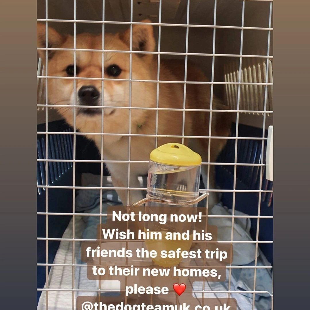 On the way to freedom!! ❤