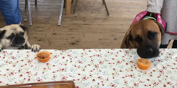 Frank and Jane with buns