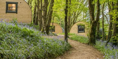 Ballybeg Pods